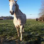 بيت للعطل La Petite Juliette Leuze-en-Hainaut