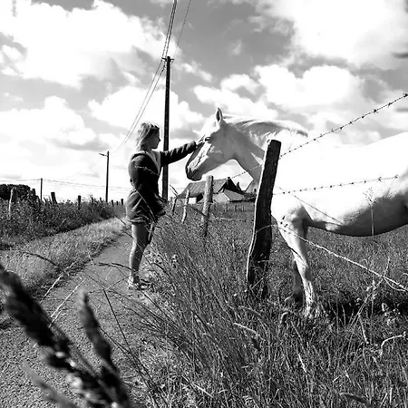 Ferienhaus La Petite Juliette *