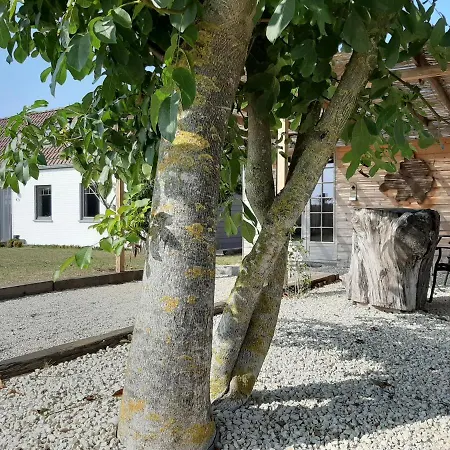 Дом отдыха La Petite Juliette *