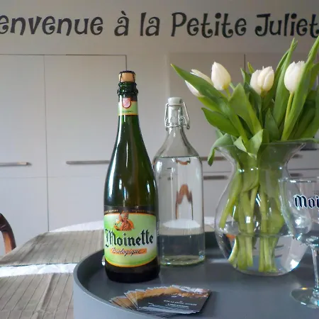 Holiday home La Petite Juliette Leuze-en-Hainaut