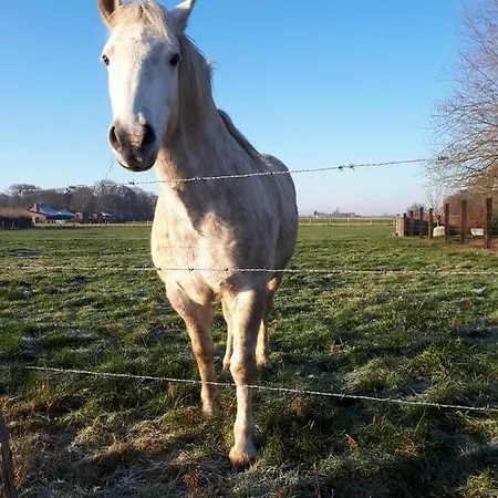 Дом отдыха La Petite Juliette Leuze-en-Hainaut
